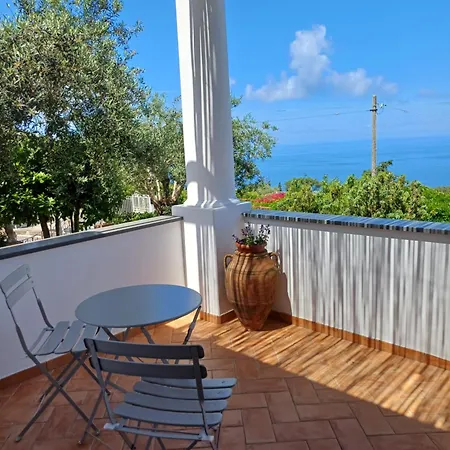 Guest house La Casa Di Pitti Anacapri (Isola di Capri)