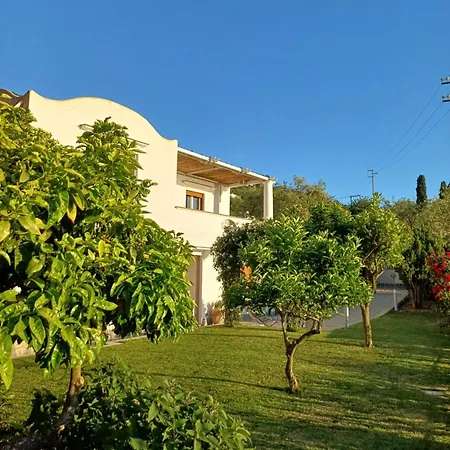 Guest house La Casa Di Pitti Anacapri (Isola di Capri)